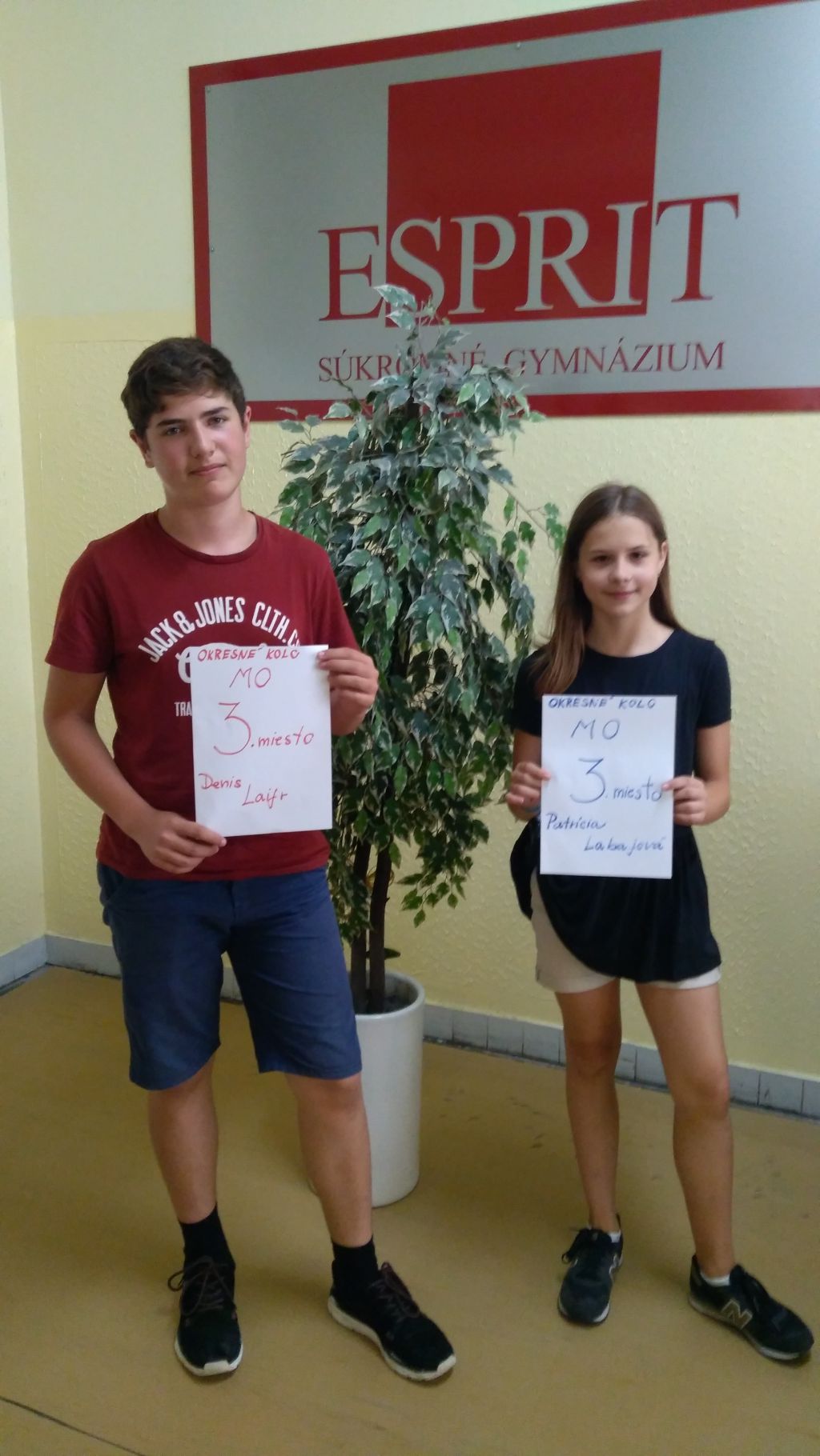 Okresn&eacute; kolo Matematickej olympi&aacute;dy